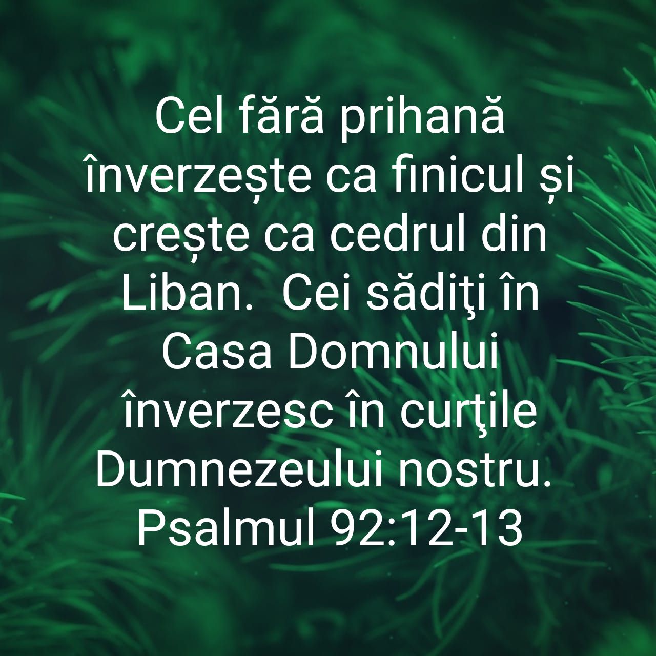 WhatsApp Image 2020-04-28 at 10.58.24